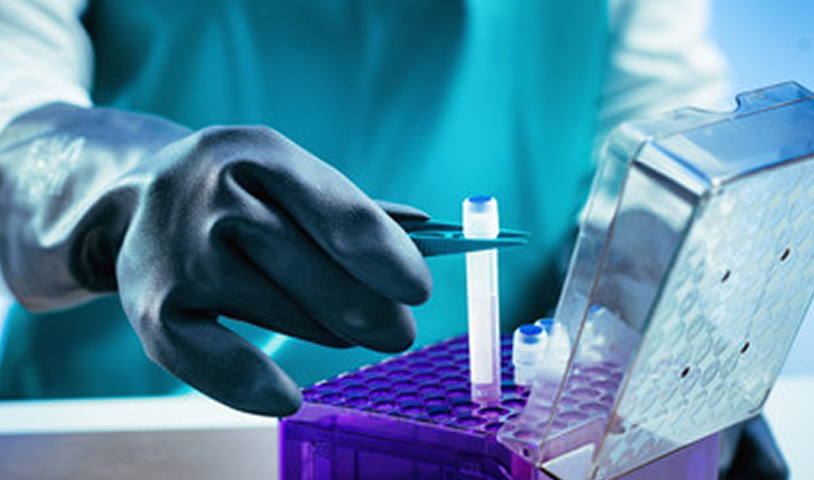 Connecting the Nodes in the World of Cell Therapy