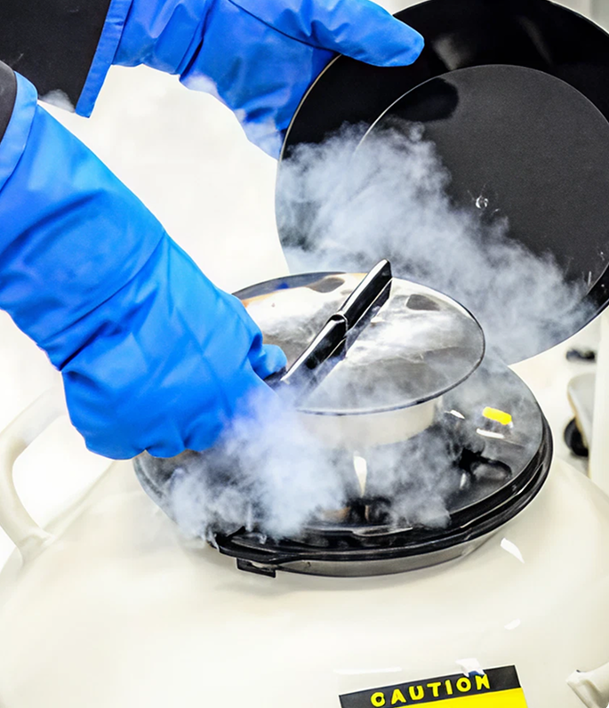 Technician accessing a liquid nitrogen cryogenic storage vessel