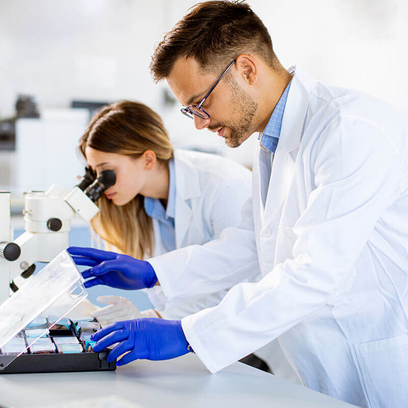 Scientists conducting cell therapy laboratory work