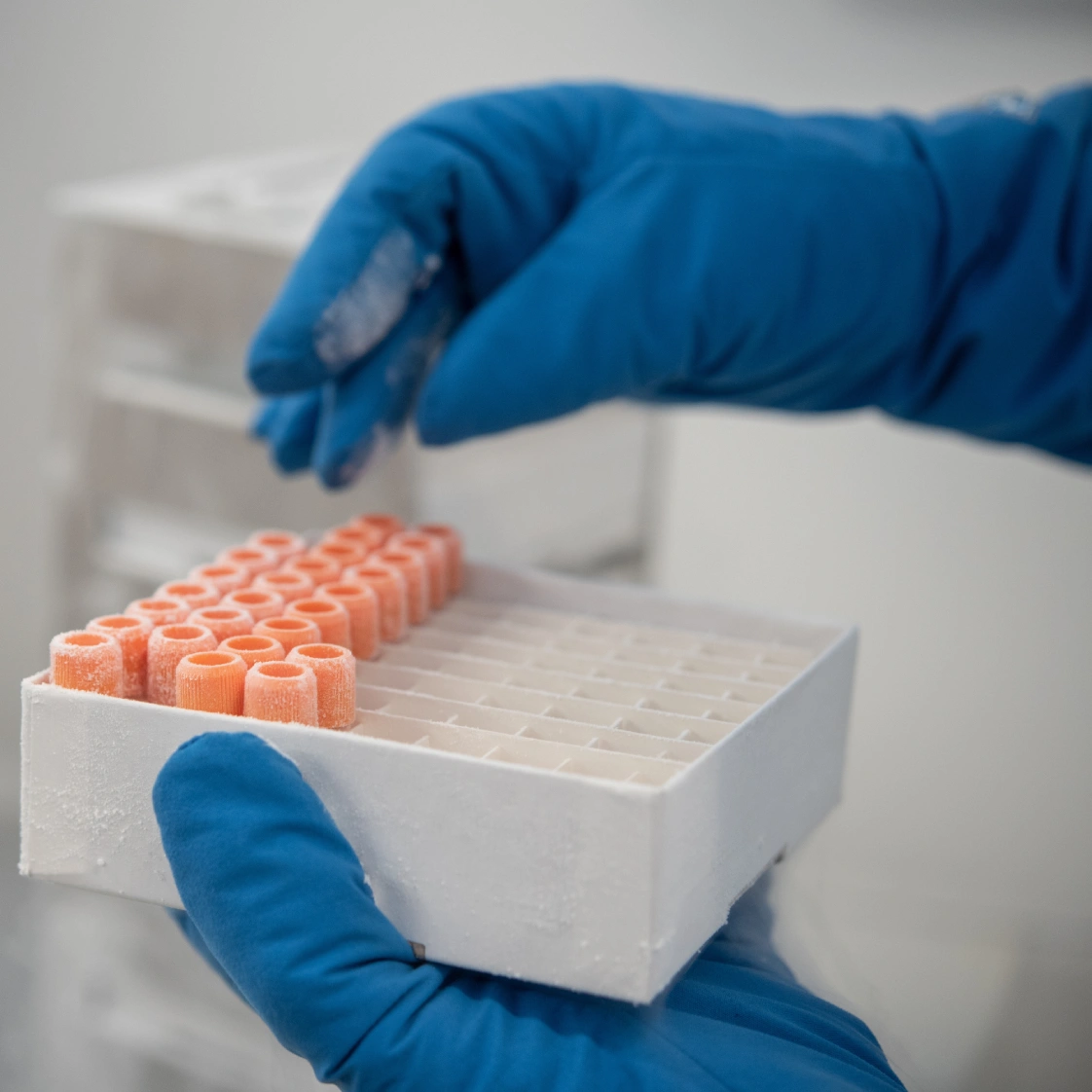 Gloved technician handling frozen clinical sample vials